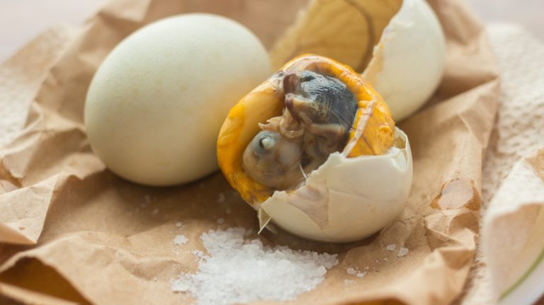 how-is-balut-prepared-1707147961