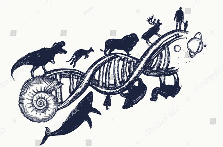 stock-vector-evolution-tattoo-dna-concept-evolution-scale-from-unicellular-organism-to-mammals-symbol-of-691483894