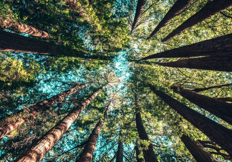 1551192059-83cdaa983fd143786d1590d272dddefb