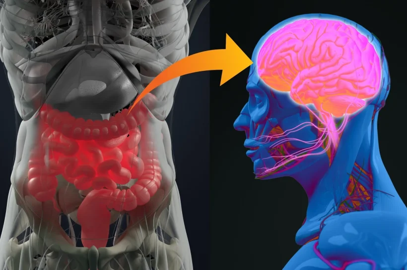 How Gut Microbiome Imbalances May Influence Mental Health