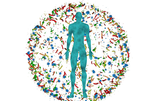 The Human Microbiome: A Hidden Ecosystem Within You