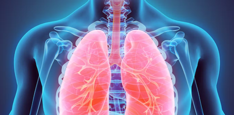 image_2025-09-19_122713013