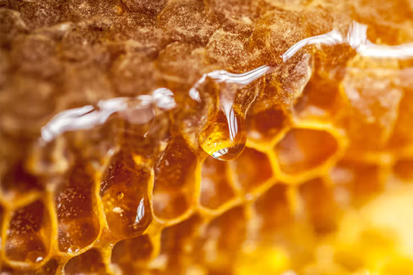 Why Honey Never Spoils, The Science Behind Its Eternal Shelf Life